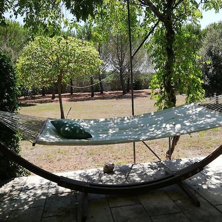 Villa Del Glicine ムーロ・レッチェーゼ エクステリア 写真