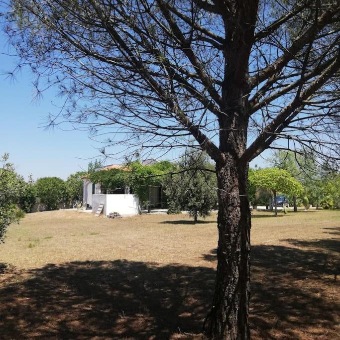 Villa Del Glicine ムーロ・レッチェーゼ エクステリア 写真